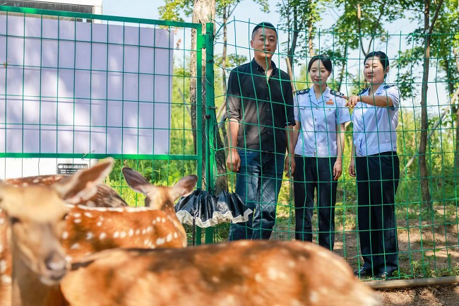 图片6.jpg